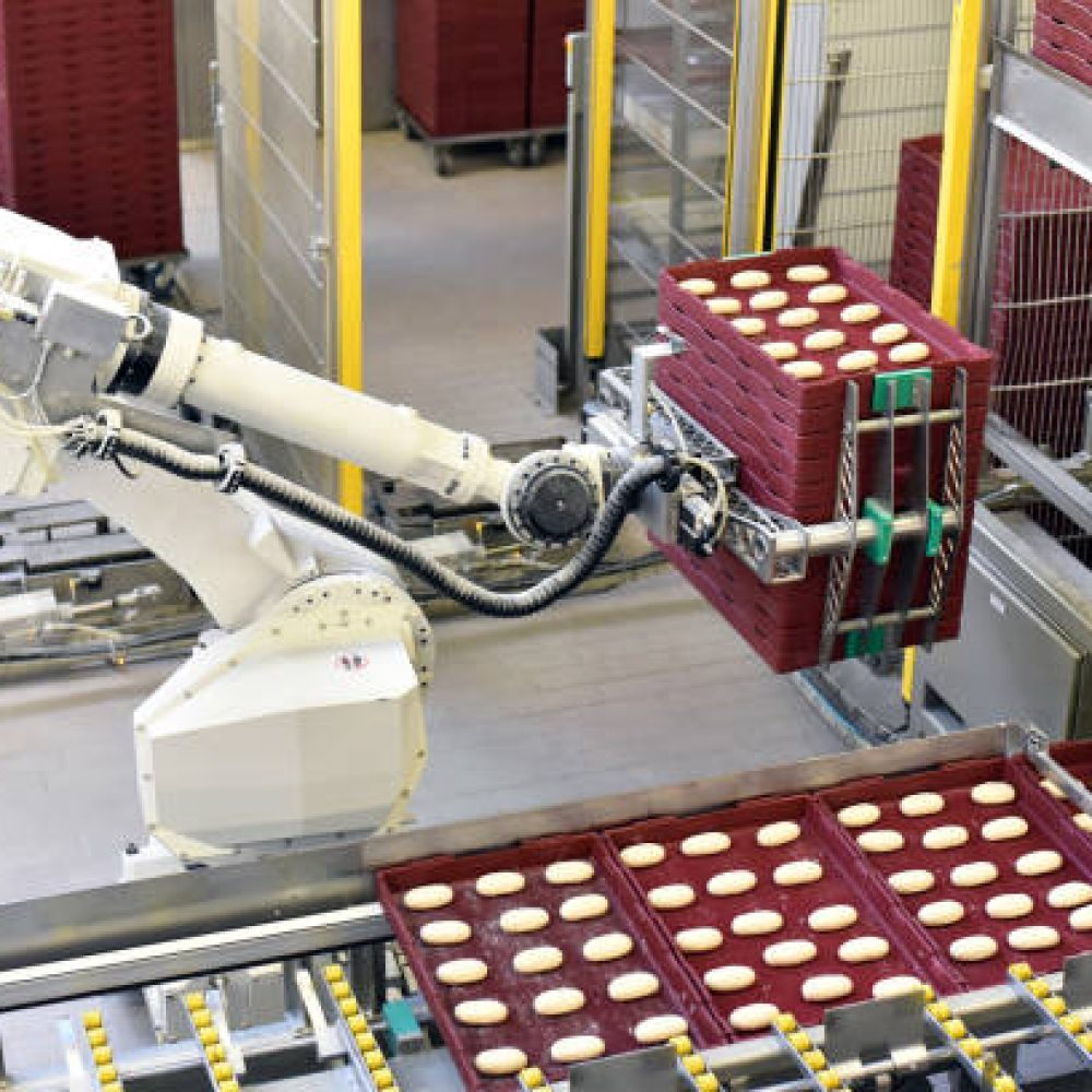 industrial production of bakery products on an assembly line - technology and machinery in the food factory